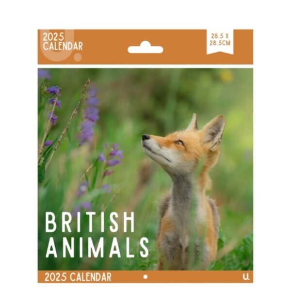 Square Wall Calendar 2025 Monthly Planner 28.5x28.5 cm British Birds & Animals - Image 3