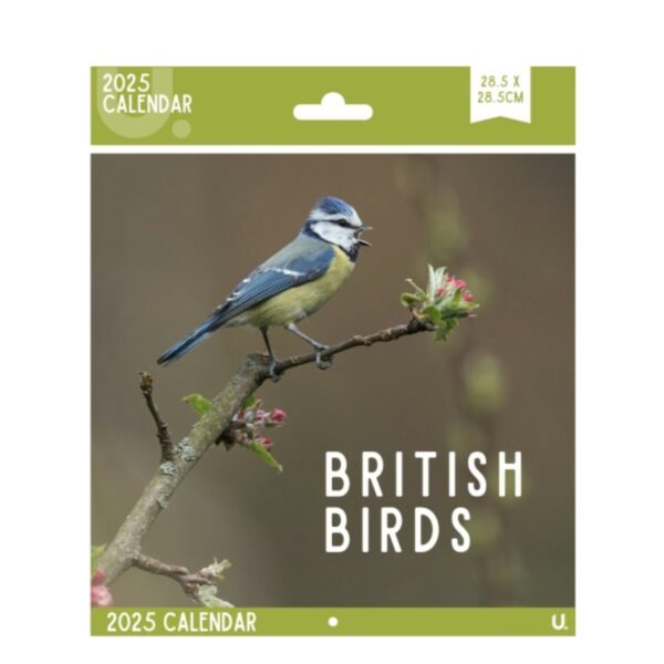 Square Wall Calendar 2025 Monthly Planner 28.5x28.5 cm British Birds & Animals - Image 4