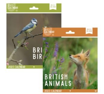 Square Wall Calendar 2025 Monthly Planner 28.5×28.5 cm British Birds & Animals