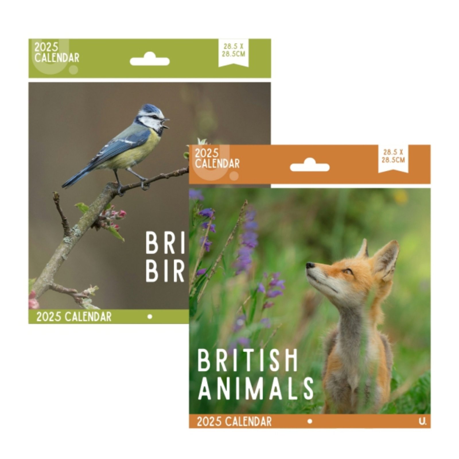 Square Wall Calendar 2025 Monthly Planner 28.5×28.5 cm British Birds & Animals